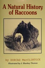 Dorcas MacClintock: A Natural History of Raccoons